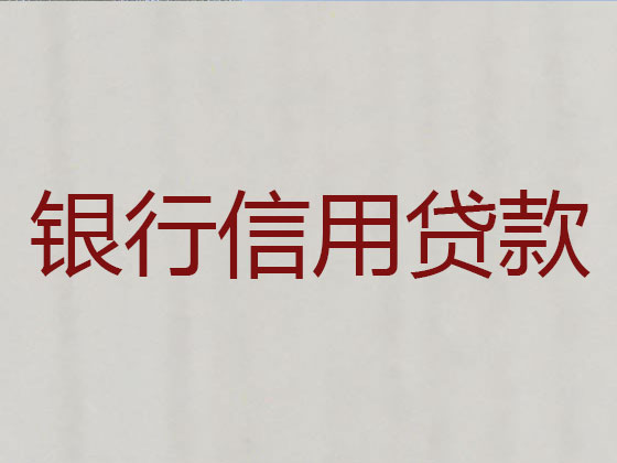 赵县信用贷款-抵押担保贷款